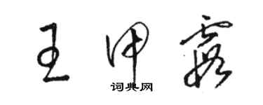 駱恆光王甲霞草書個性簽名怎么寫