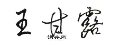 駱恆光王甘露行書個性簽名怎么寫