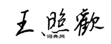 王正良王照歡行書個性簽名怎么寫