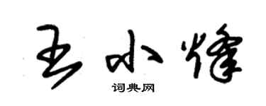 朱錫榮王小烽草書個性簽名怎么寫