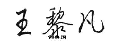 駱恆光王黎凡行書個性簽名怎么寫