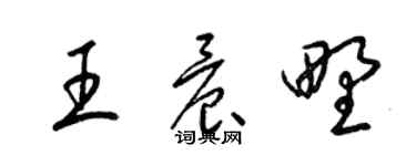 梁錦英王晨野草書個性簽名怎么寫