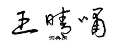 曾慶福王晴嘯草書個性簽名怎么寫