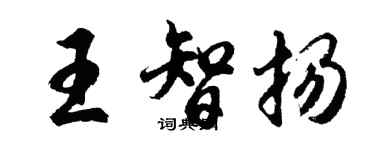 胡問遂王智揚行書個性簽名怎么寫