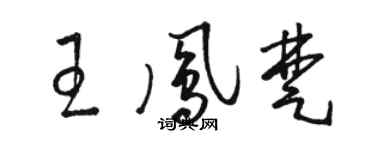 駱恆光王鳳楚草書個性簽名怎么寫