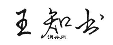 駱恆光王知書行書個性簽名怎么寫
