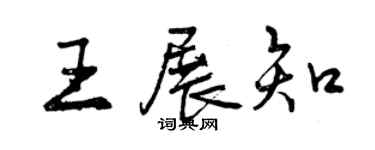 曾慶福王展知行書個性簽名怎么寫