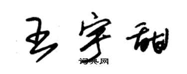 朱錫榮王宇甜草書個性簽名怎么寫