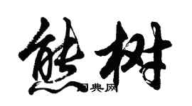 胡問遂熊樹行書個性簽名怎么寫