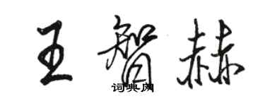 駱恆光王智赫行書個性簽名怎么寫