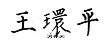 何伯昌王環平楷書個性簽名怎么寫