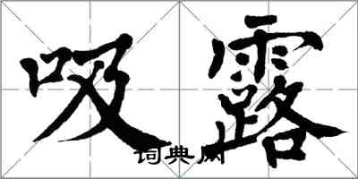 翁闓運吸露楷書怎么寫