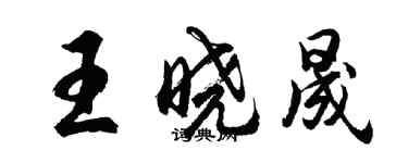 胡問遂王曉晟行書個性簽名怎么寫