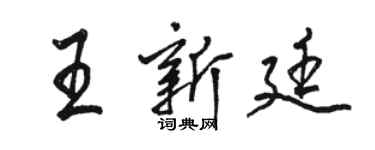 駱恆光王新廷行書個性簽名怎么寫
