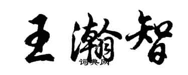 胡問遂王瀚智行書個性簽名怎么寫