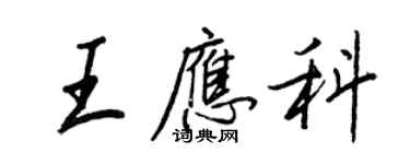 王正良王應科行書個性簽名怎么寫