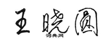 駱恆光王曉圓行書個性簽名怎么寫