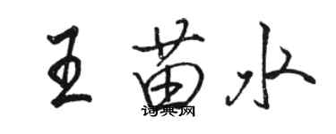 駱恆光王苗水行書個性簽名怎么寫