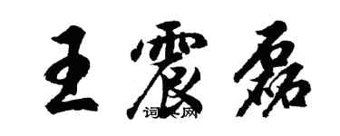 胡問遂王震磊行書個性簽名怎么寫