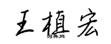 王正良王植宏行書個性簽名怎么寫