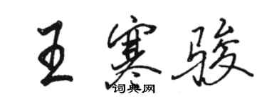 駱恆光王寒駿行書個性簽名怎么寫