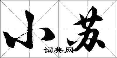 胡問遂小蘇行書怎么寫