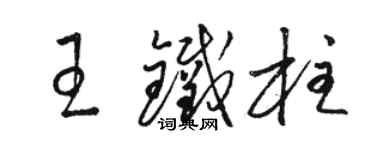 駱恆光王鐵柱草書個性簽名怎么寫