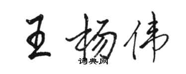 駱恆光王楊偉行書個性簽名怎么寫