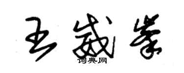 朱錫榮王威峰草書個性簽名怎么寫