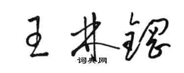 駱恆光王林鋼草書個性簽名怎么寫