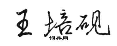 駱恆光王培硯行書個性簽名怎么寫