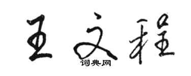 駱恆光王文程行書個性簽名怎么寫