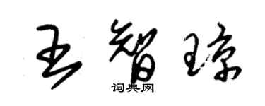 朱錫榮王智瓊草書個性簽名怎么寫