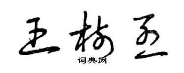 曾慶福王樹烈草書個性簽名怎么寫