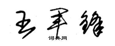 朱錫榮王軍鋒草書個性簽名怎么寫