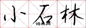 小石林怎么寫好看
