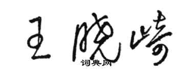 駱恆光王曉崎草書個性簽名怎么寫