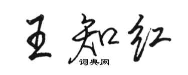 駱恆光王知紅行書個性簽名怎么寫
