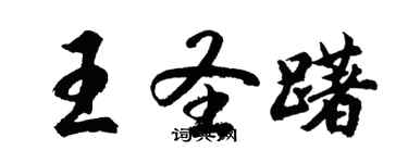 胡問遂王聖躇行書個性簽名怎么寫
