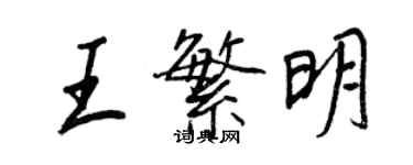 王正良王繁明行書個性簽名怎么寫