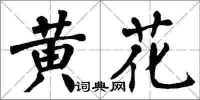 翁闓運黃花楷書怎么寫