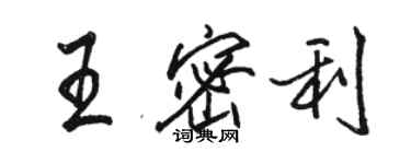 駱恆光王密利行書個性簽名怎么寫