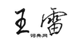 駱恆光王雷行書個性簽名怎么寫