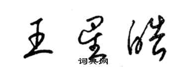 梁錦英王星皓草書個性簽名怎么寫