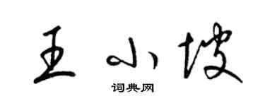 梁錦英王小坡草書個性簽名怎么寫