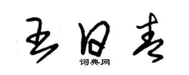 朱錫榮王日青草書個性簽名怎么寫