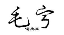 曾慶福毛寧草書個性簽名怎么寫