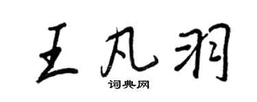 王正良王凡羽行書個性簽名怎么寫