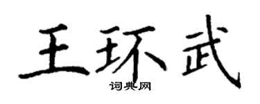 丁謙王環武楷書個性簽名怎么寫