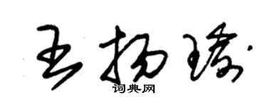 朱錫榮王揚瑜草書個性簽名怎么寫